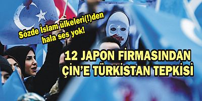 12 Japon firmasından Çin'e Türkistan tepkisi