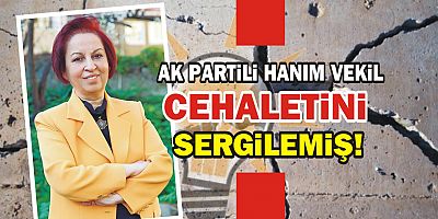 AK Partili hanım vekil cehaletini sergilemiş 