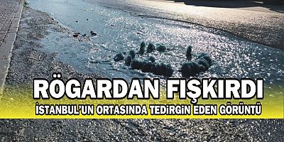 İstanbul'un ortasında tedirgin eden görüntü!