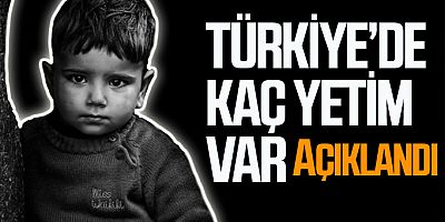 İŞTE TÜRKİYE'DEKİ YETİM VE ÖKSÜZ SAYISI 