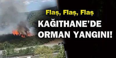 Kağıthane’de orman yangını
