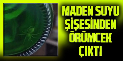 Maden suyu şişesinden örümcek çıktı