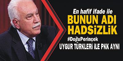 Perinçek yine haddini aştı!