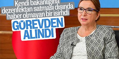 Ruhsar Pekcan'ın görevine son verildi