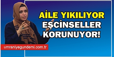 Aile