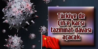 TÜRKİYELİ AVUKATLAR ÇİN'E TAZMİNAT DAVASI AÇACAK