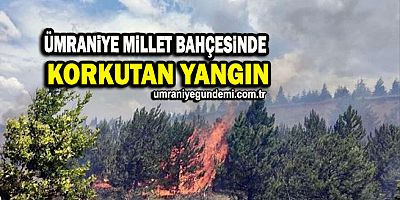 Ümraniye millet bahçesinde korkutan yangın